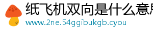 纸飞机双向是什么意思
